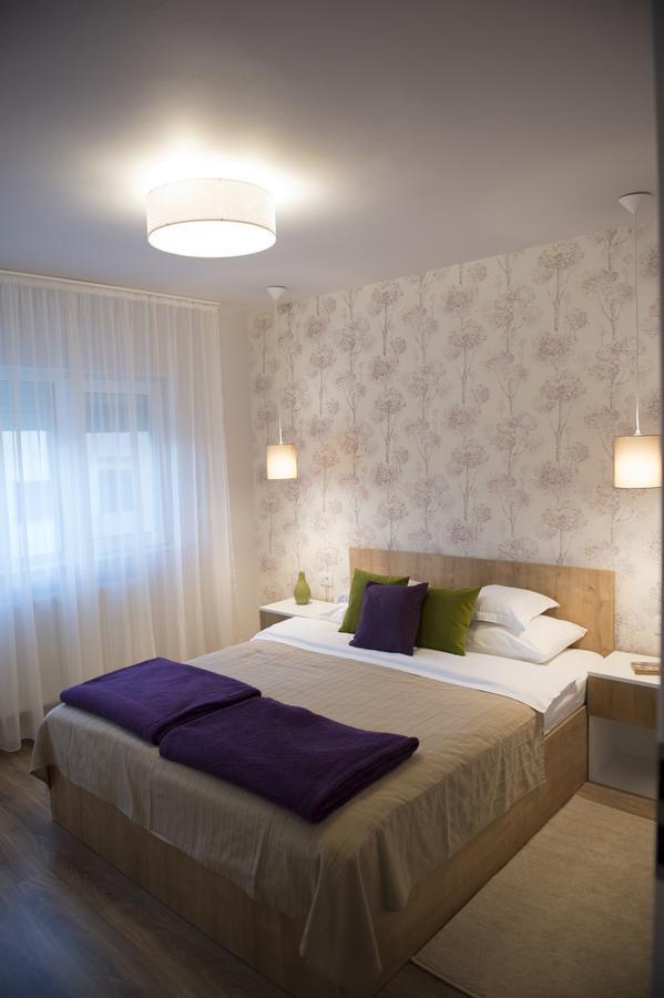 טימישוארה Smp Apartment 2 מראה חיצוני תמונה