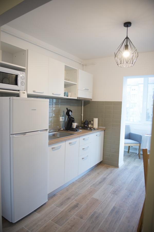 טימישוארה Smp Apartment 2 מראה חיצוני תמונה
