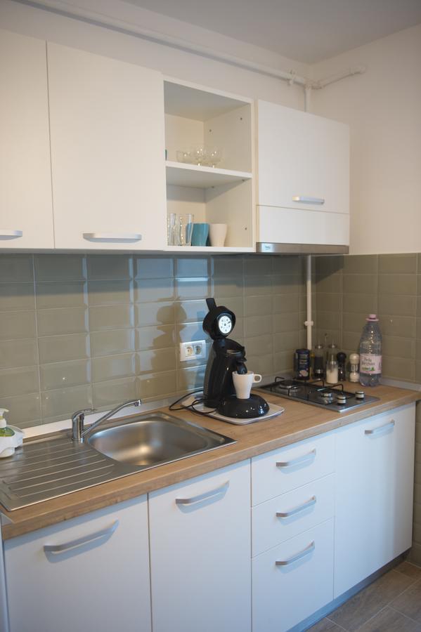 טימישוארה Smp Apartment 2 מראה חיצוני תמונה